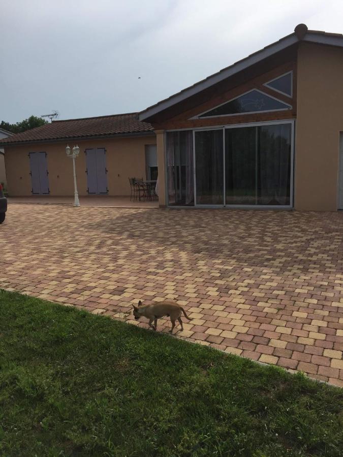 Chambres D'Hotes Chez Coco Saint-Georges-de-Reneins Eksteriør bilde